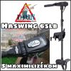 Haswing 65lb