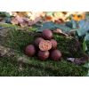 Rapid Boilies Platinum ProActive - Sea (950g | 20mm)