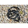 10-FT 12 PIN XDCR Extension CBL