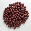 Rapid Boilies Easy Catch - Oliheň (950g | 24mm)