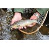 Dipované umelé nástrahy FishUP Tanta 63mm-2,5”/8ks Farba: Yellow