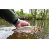 Dipované umelé nástrahy FishUP Tanta 63mm-2,5”/8ks Farba: White