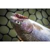 Dipované umelé nástrahy FishUP Yochu 43mm-1,7”/8ks Farba: White