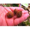 Super Feed X Core hookers MIX 14/18mm, 200ml Crazy Lobster