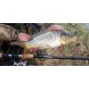 Feeder prúty Xclusive NT Medium Feeder 420cm / 90-160g