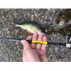 Prívlačové prúty Black Pearl GT-3 2-diel 240cm / 10g