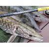 Prívlačové prúty Black Pearl GT-3 2-diel 240cm / 40g baitcast