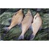 MF Diffusion Micro Chunks 8mm/20g Monster Halibut