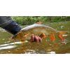 Dipované umelé nástrahy FishUP Scaly FAT 3,2-82mm 8ks farba: Yellow