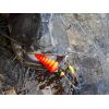 Sumcový podvodný plavák U-Float Tree červený 5,5cm/5g