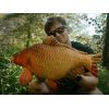 Plyšový kapor Delphin CARPY