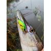 Salmo rybarske voblery Hornet H6S farba HP