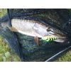 Salmo rybarske voblery SLIDER SD5F farba BE