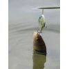 Salmo rybarske voblery SLIDER SD5F farba RHP/HP