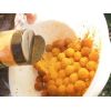 SuperFeed - X Core Shaker Booster - 200g Crazy Lobster
