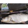 Kaprárske prúty SPORTEX Revolt CS-2 Carp 2-diel 366cm / 3,00lbs