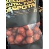 Lastia EXCLUSIVE Brutl Fish Despota
